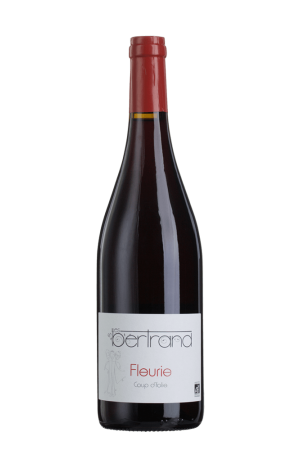 32900000000000_10000