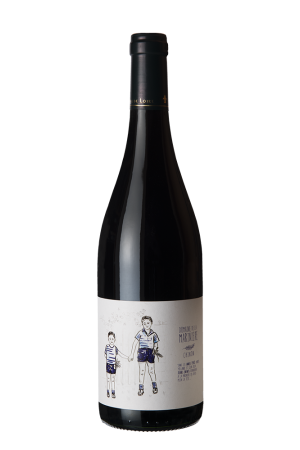 31005120000000_20000